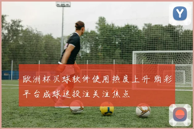 欧洲杯买球软件使用热度上升 购彩平台成球迷投注关注焦点