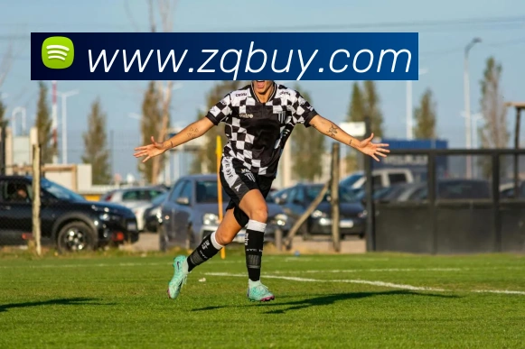 beat365国外官网平台生态图